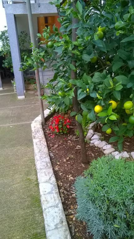 Apartment Anny Pula Ngoại thất bức ảnh